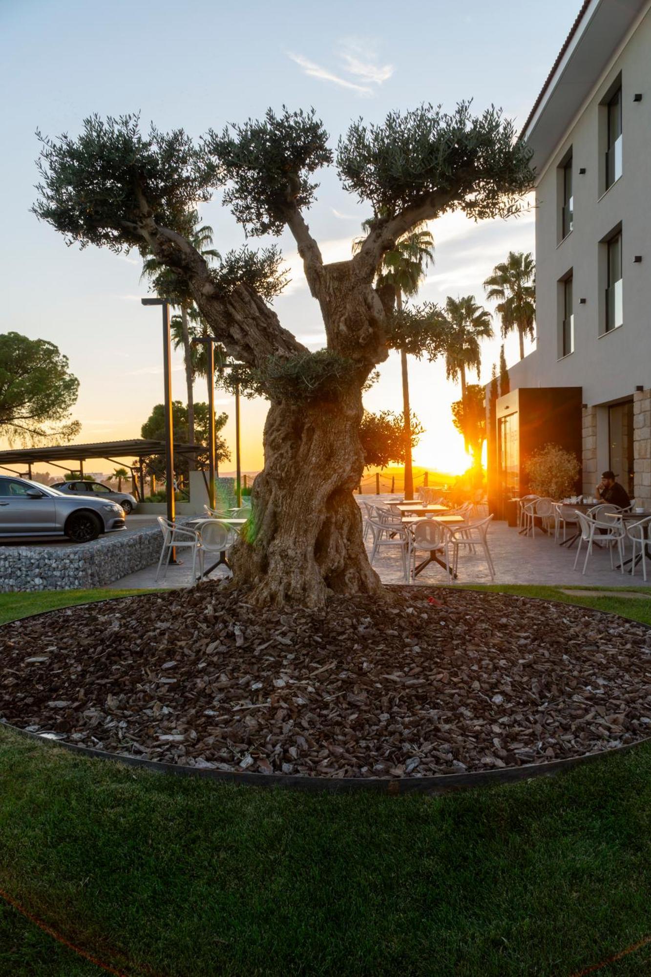 Hotel Rural Finca La Desa Miajadas Zewnętrze zdjęcie